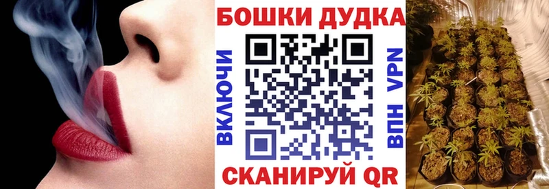 Бошки Шишки семена  где купить наркотик  Судогда 